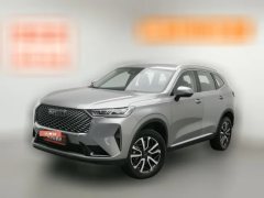 2021 Haval H6 2021 1.5T AT No.3generation2WDMax #1