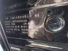 2022 Tank 300 2022 2.0T AT TankRanger #9
