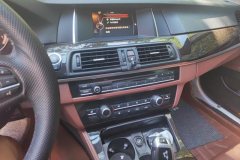 2015 BMW 5 Series 2014 2.0T AT 525LiLeading #13