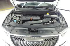 2021 Haval H6 2021 1.5T AT ChampionGDI #10