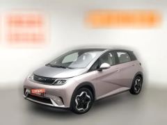2022 BYD Dolphin 2021 405km Fashion #1