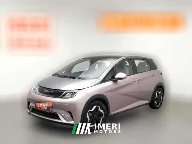 2022 BYD Dolphin 2021 405km Fashion