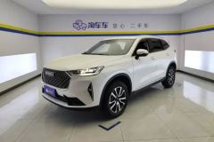 2023 Haval H6 2022 No.3generation 1.5T AT 2WDMax #1