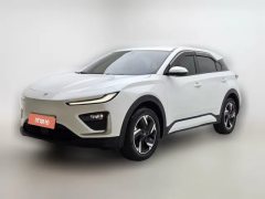 2024 Neta X 2023 400 Lite #1