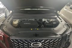 2024 GAC Trumpchi Trumpchi GS8 2025 PilotSeries 2.0TGDI AT 2WDLuxury 5Seat #10