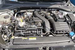 2024 Volkswagen Sagitar 2024 1.5T AT 300TSI DSGSurpass #10