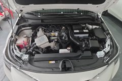 2025 Toyota Levin 2024 1.2T AT 185T CVTLuxury #10