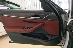 2021 BMW 5 Series 2021 2.0T AT 530LiLeadingLuxury Pkg #7