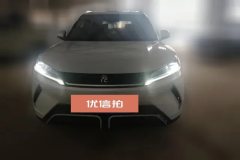 2024 BYD Yuan UP 2024 401KM Surpass #2