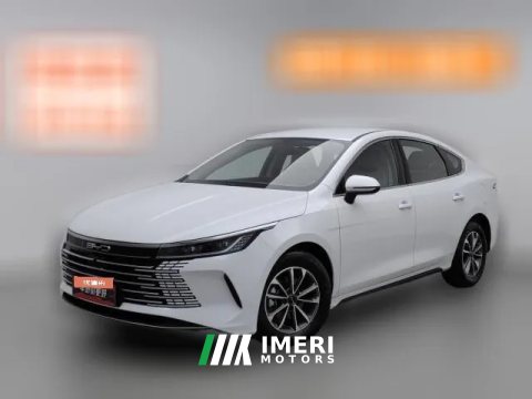 2024 BYD Destroyer 05 2024 Glory 1.5L AT DM-i 55KM Luxury