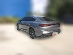 2024 BYD Qin L 2024 1.5L AT DM-i 120KMSurpass #7
