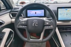 2025 BYD Yuan UP 2025 301KM Pilot #15