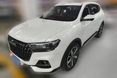 2024 Haval H6 2023 China tideEdition 1.5T AT Champion #1