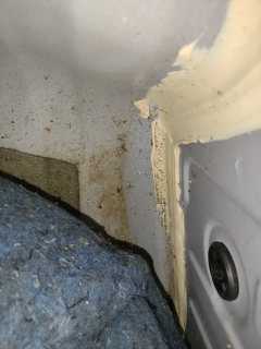 Spare Tire Well (Trunk Floor)