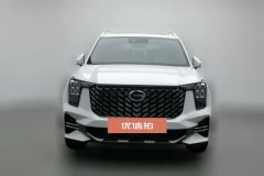 2026 GAC Trumpchi Trumpchi GS8 2024 PilotSeries 2.0TGDI AT 2WDLuxurySmart Connect #3