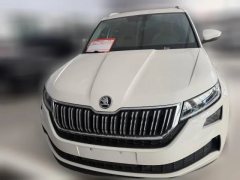 2020 Škoda Kodiaq GT 2019 2.0T AT TSI330Luxury FWD China V #2