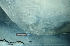 Задн. Panel