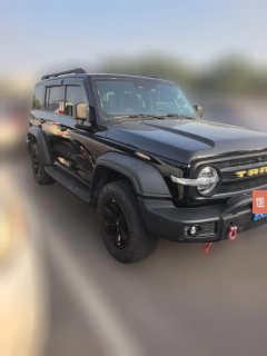 2022 Tank 300 2023 Off-road 2.0T AT conqueror #2