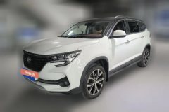 2019 Dongfeng Fengxing Fengxing T5 2020 1.5T AT Premium China VI #1