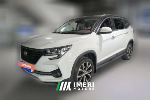 2019 Dongfeng Fengxing Fengxing T5 2020 1.5T AT Premium China VI