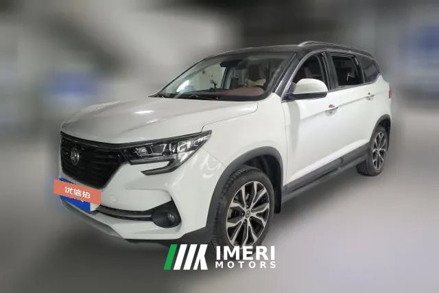 2019 Dongfeng Fengxing Fengxing T5 2020 1.5T AT Premium China VI