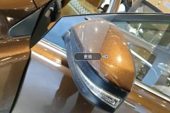 Left Exterior Mirror