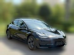 2020 Tesla Model 3 2020 StandardBattery lifeRWDUpgradeEdition #3