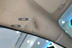 Roof Lining