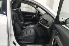 2020 Haval H6 2021 1.5T AT Champion #22