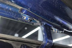 Trunk Lid