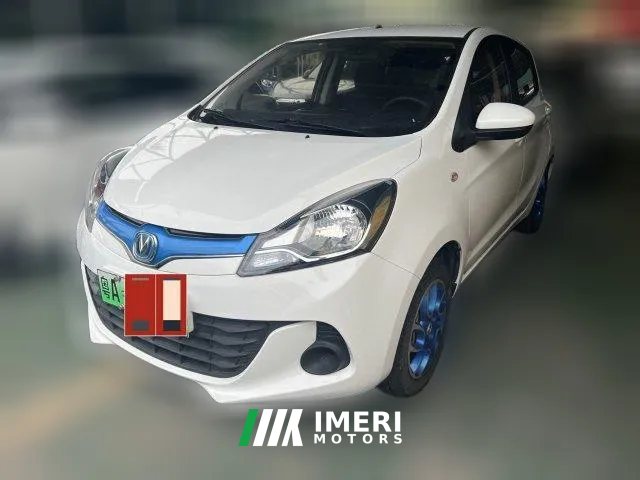 2018 Chang'an Benben EV 2019 EC260Standard EV