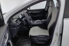 2024 BYD Destroyer 05 2024 Glory 1.5L AT DM-i 55KM Luxury #13