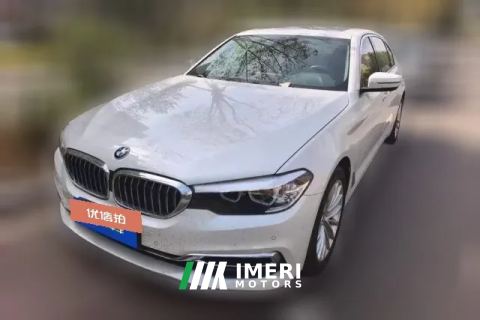 2019 BMW 5 Series 2019 2.0T AT 530LiLuxury Pkg4WD