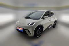 2025 BYD Seagull 2025 305km freeEdition #1