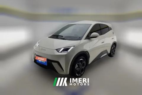 2025 BYD Seagull 2025 305km freeEdition