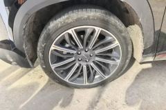 2023 Jetour Dasheng 2022 1.6T AT DCTkingSPORT #6