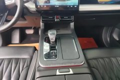 2022 GAC Trumpchi Trumpchi GS8 2022 PilotSeries 2.0TGDI AT 2WDLuxurySmart Connect（6Seat） #16