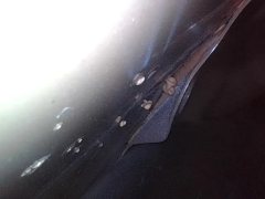 Right Rear Fender