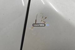 Trunk Lid