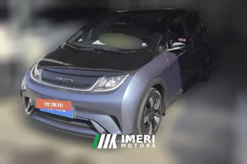 2023 BYD Dolphin 2023 401km knightEdition
