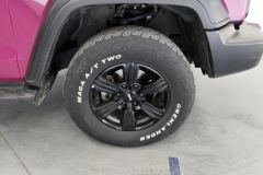 2021 Tank 300 2021 Off-road 2.0TAT conqueror #6