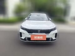 2024 Voyah Free 2025 318 259km 4WDDiscovery #3