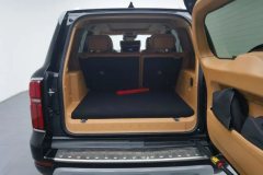 2024 Tank 500 PHEV 2024 Hi4-T 2.0T AT #20