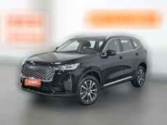 2022 Haval H6 2021 1.5T AT No.3generation2WDMax #1