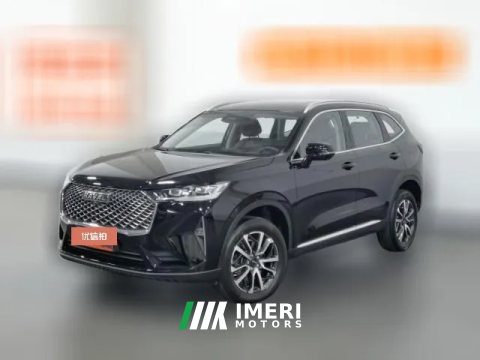 2022 Haval H6 2021 1.5T AT No.3generation2WDMax