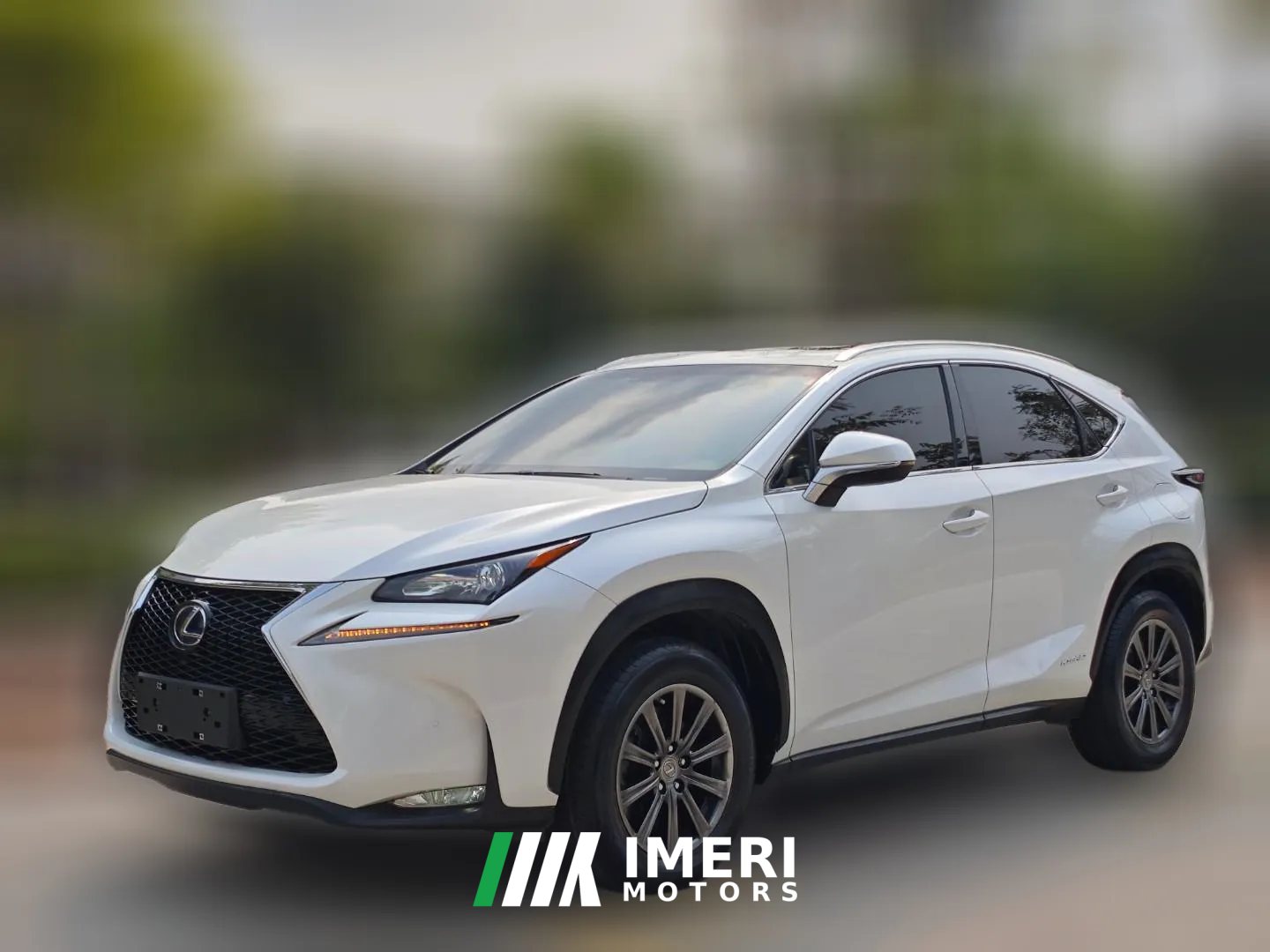 2015 Lexus NX 2015 2.5 AT 300hFeng ShangEditionFWD HEV (Imported)