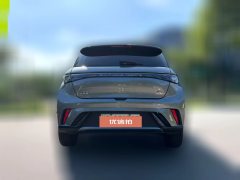 2024 BYD Dolphin 2023 420km Fashion #7