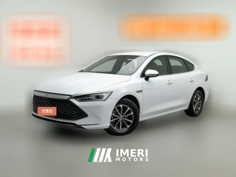 2024 BYD Qin Plus 2024 Glory 1.5L AT DM-i 55KMLeading