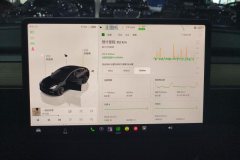 2022 Tesla Model 3 2022 rear wheel driveEdition #14
