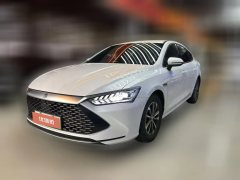 2024 BYD Qin Plus 2024 Glory 1.5L AT DM-i 55KMLeading #1